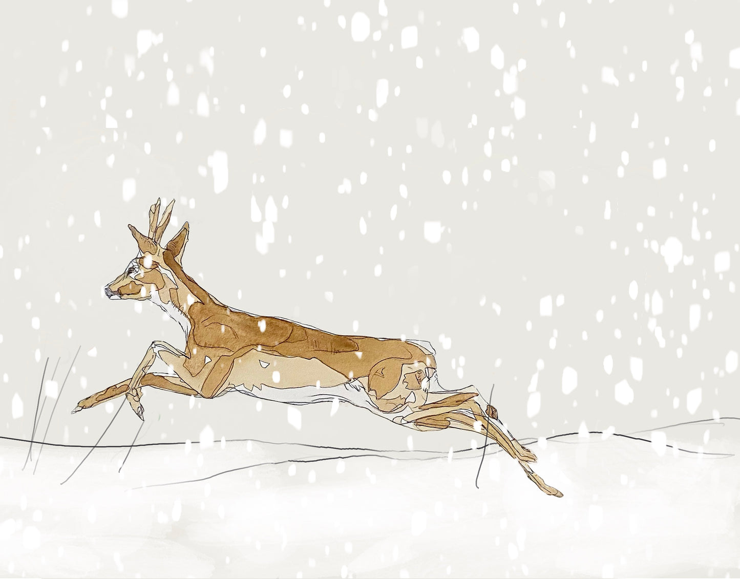 The Roe Buck and The Snow Open Edition Giclée Art Print