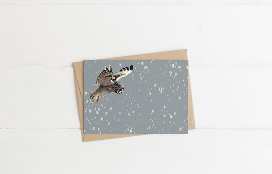 Blank greeting card and envelope  hunting flying short eared owl in the snow christmas card festive winter contemporary illustration animal artist ann pease card art 