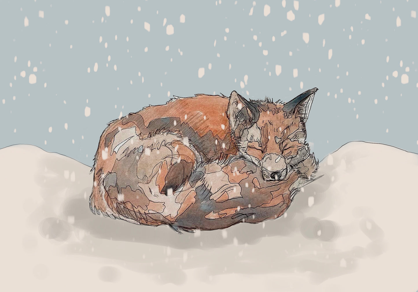 The Sleeping Red Fox and The Snow Open Edition Giclée Art Print
