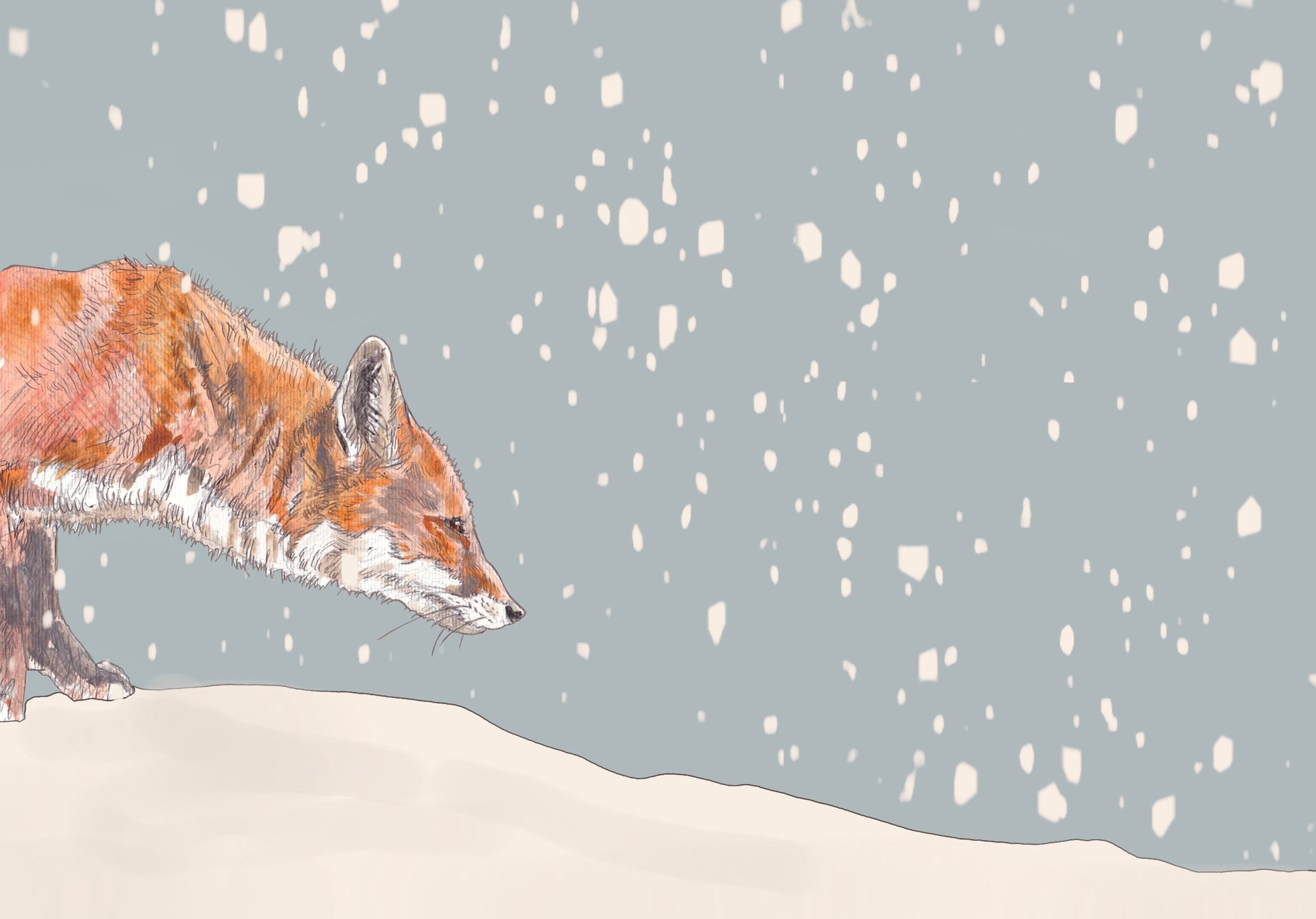 red fox stalking in the snow contemporary illustration animal wildlife artist ann pease original art