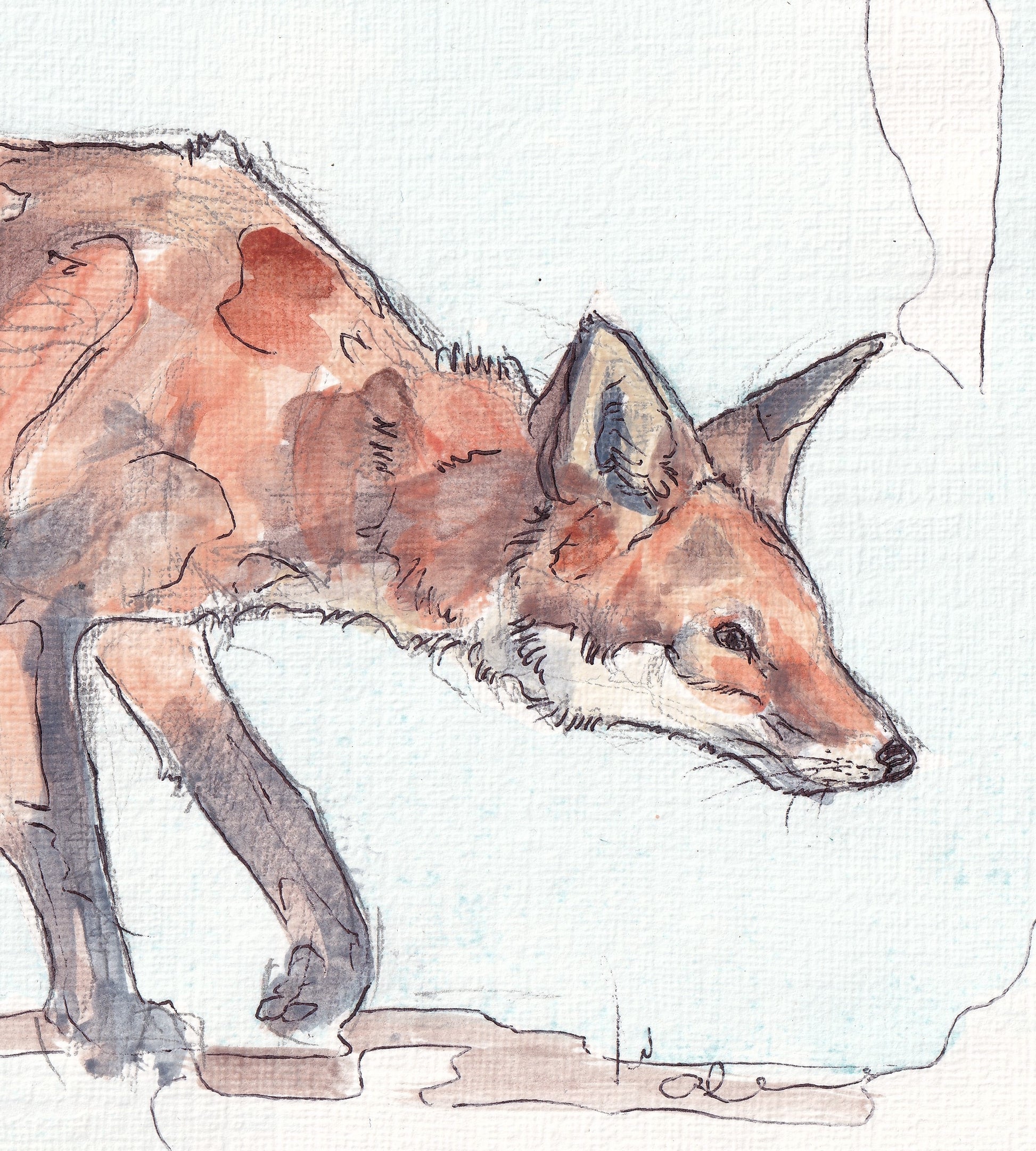 close up detail portrait Wildlife Art red fox contemporary painting / illustration by wildlife artist Ann Pease.