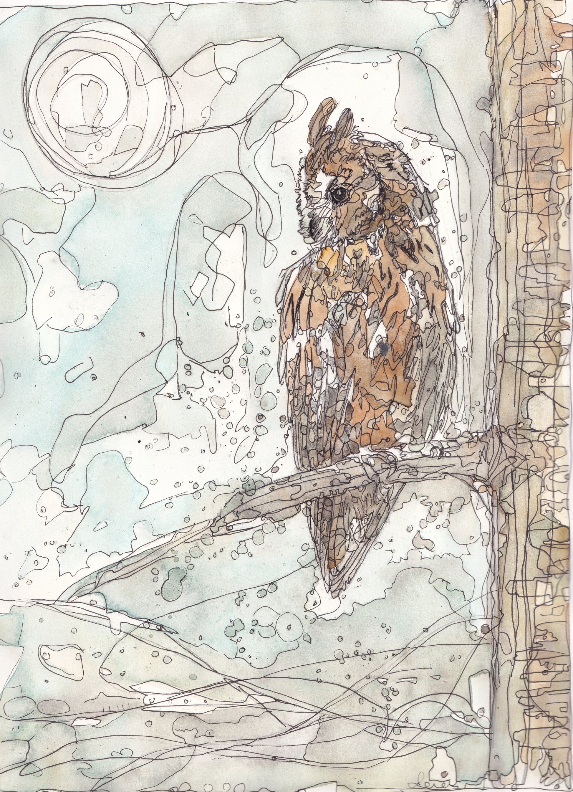 Wildlife Art perched long eared owl sat in tree in woodland with full moon painting / illustration by wildlife artist Ann Pease.