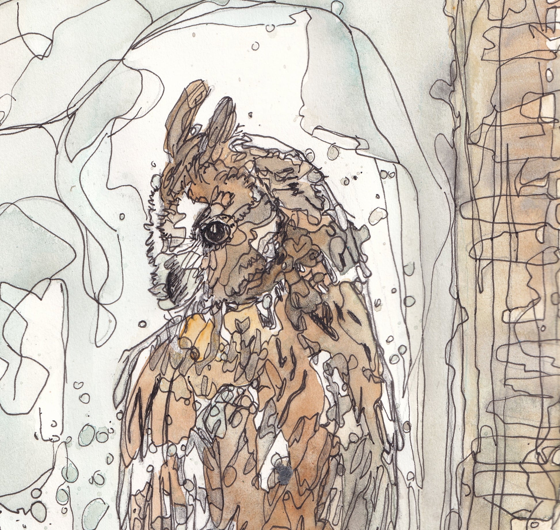 close up face detail Wildlife Art perched long eared owl sat in tree in woodland with full moon painting / illustration by wildlife artist Ann Pease.
