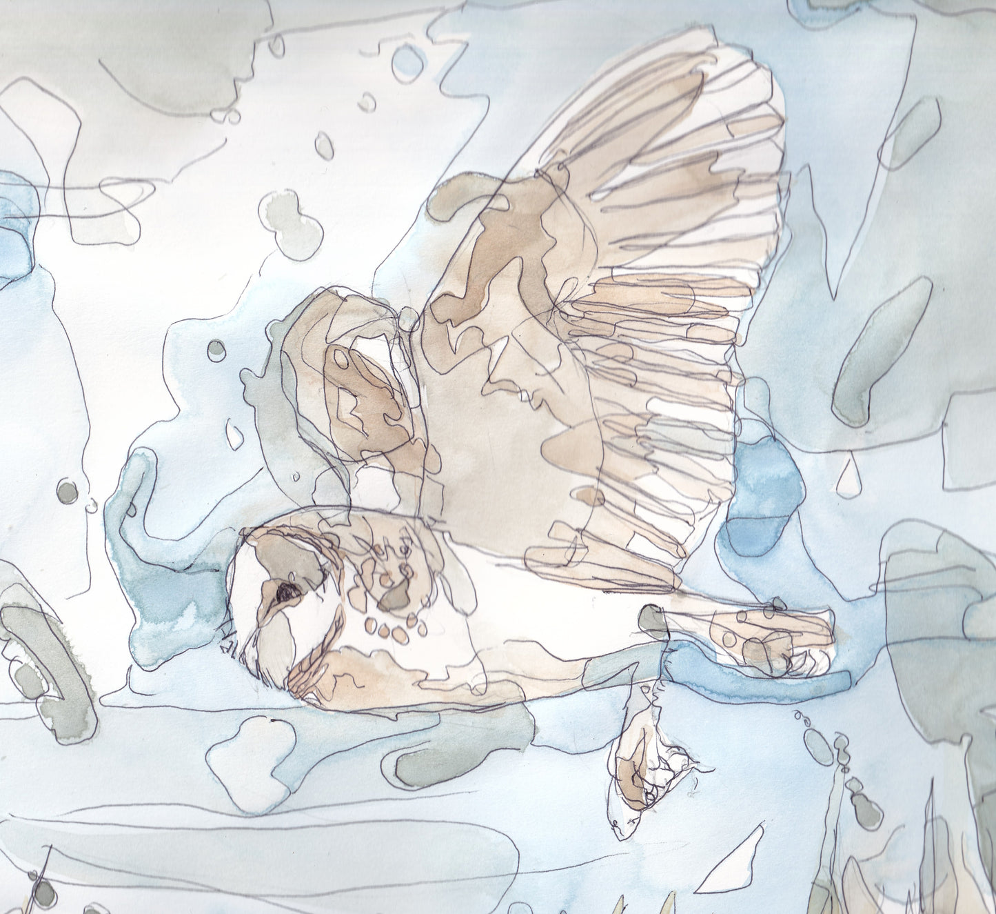detail closeup original painting of barn owl flying in the sky illustration animal wildlife artist ann pease original art 