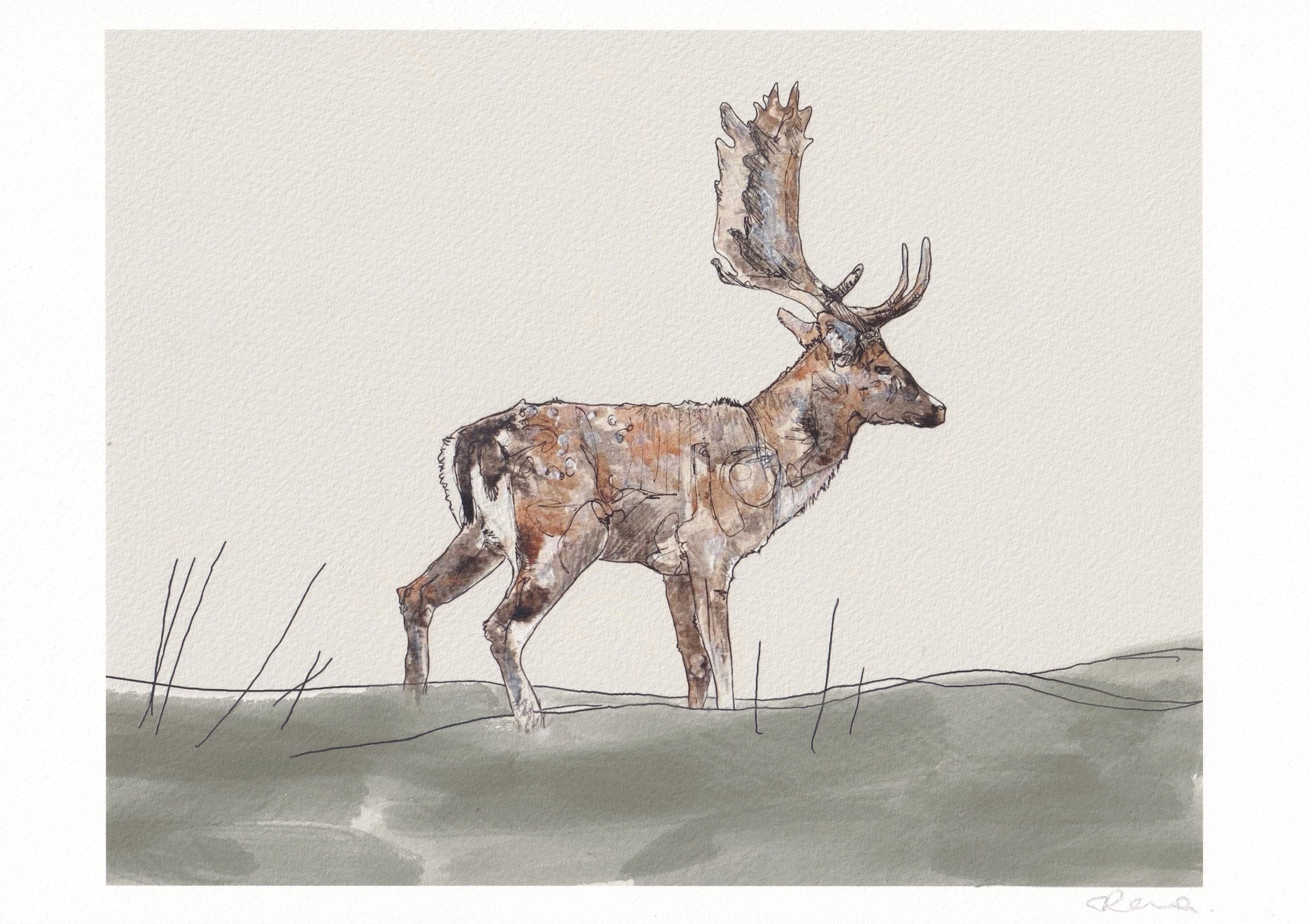 giclee fine art print of fallow deer buck stag standing on grass contemporary illustration animal wildlife artist ann pease original art 
