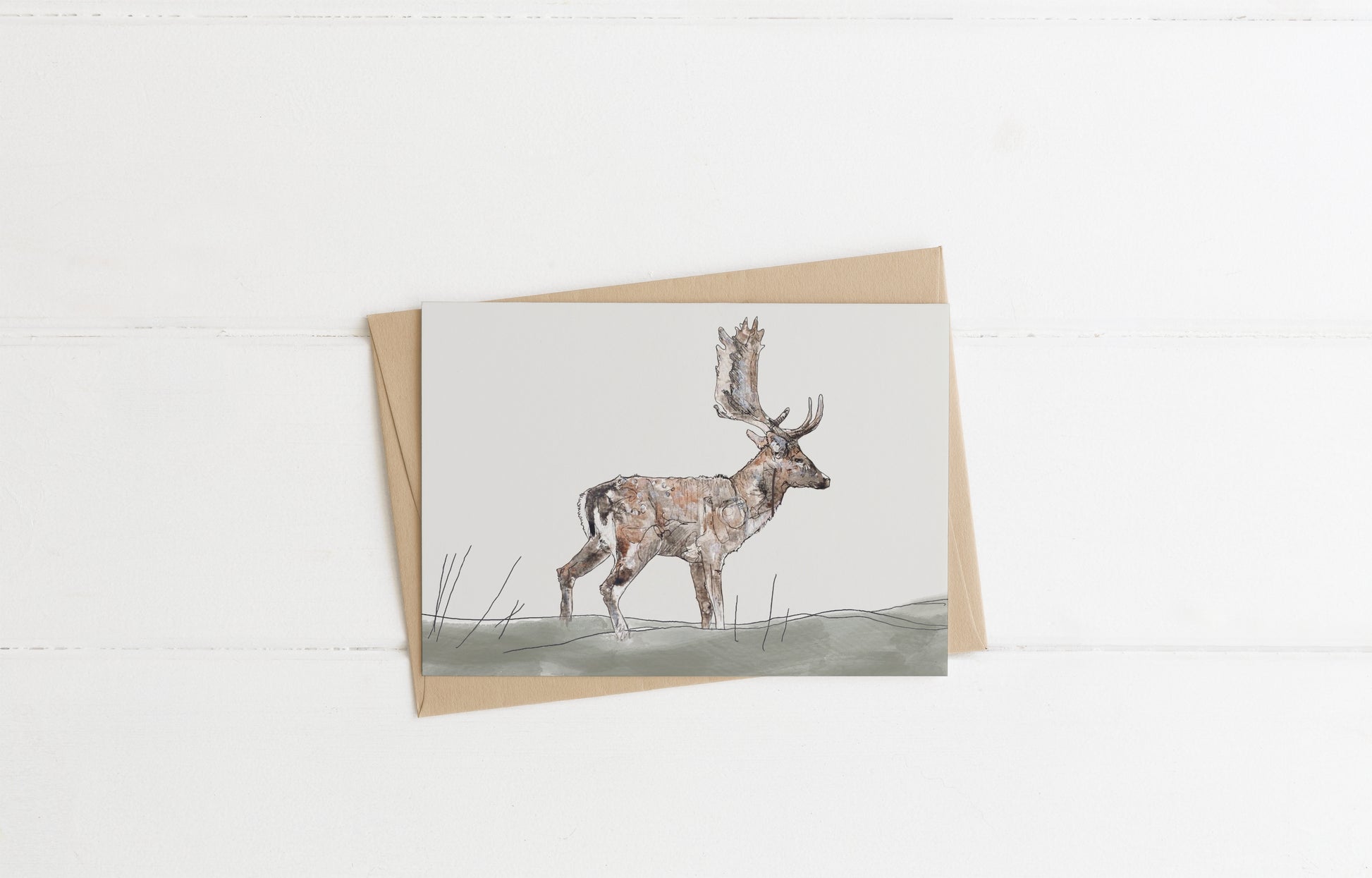 Blank greeting card and envelope  fallow buck deer stag grass meadow  illustration animal artist ann pease card art 