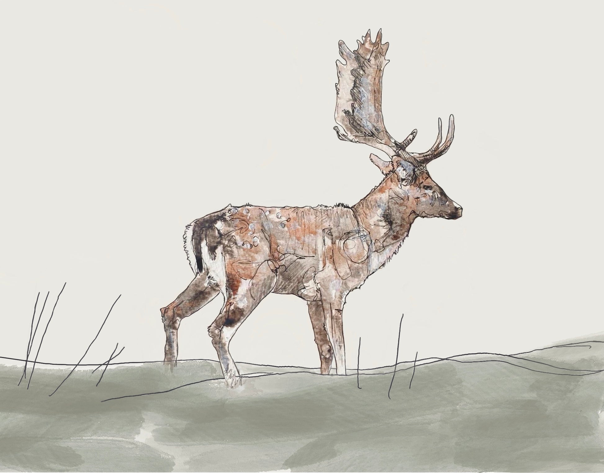 original painting giclee art print fallow deer buck stag standing on grass contemporary illustration animal wildlife artist ann pease original art 