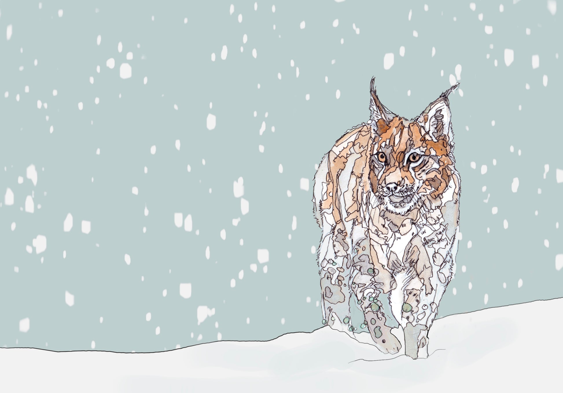 european lynx standing in the snow contemporary illustration animal wildlife artist ann pease card art 