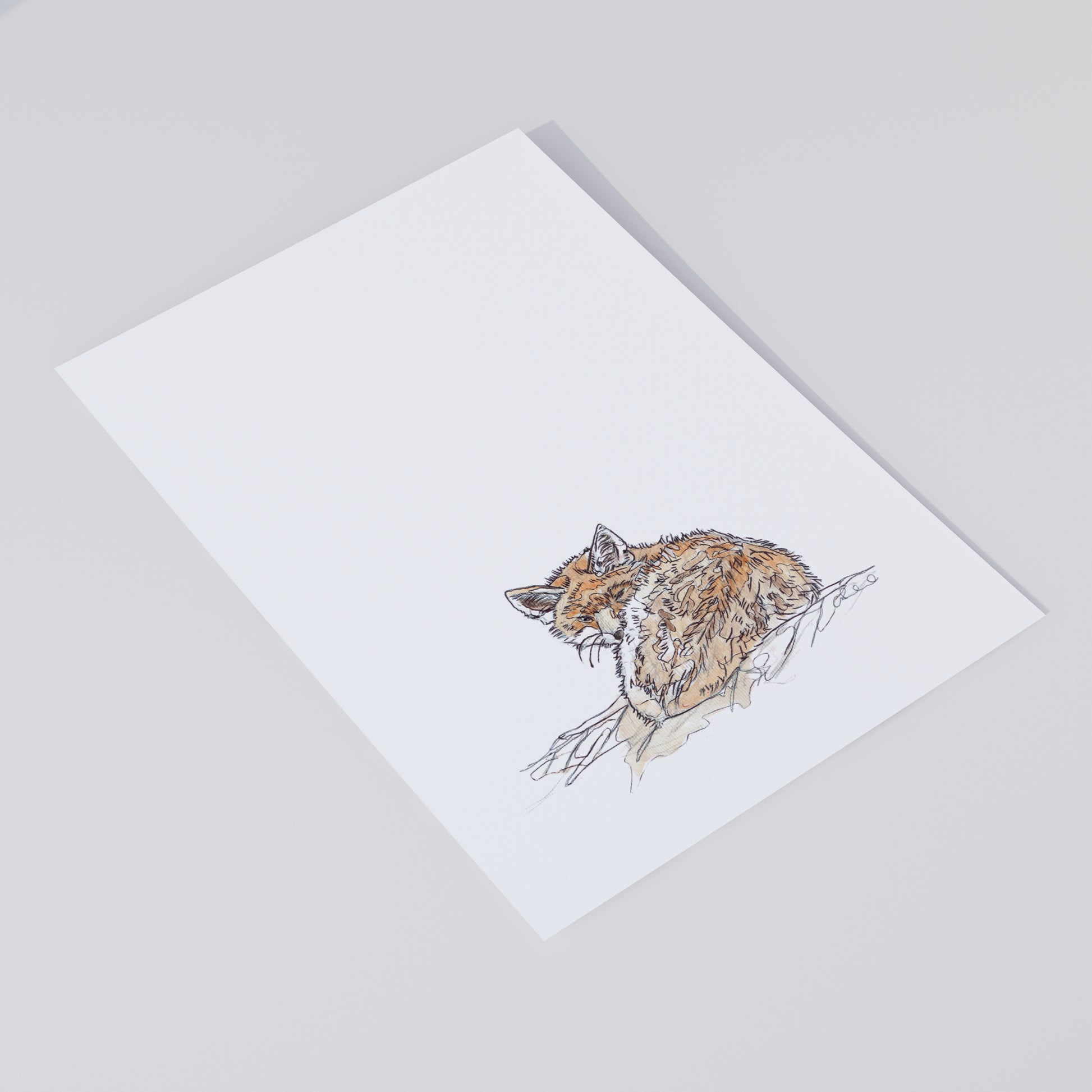 sleepy fox on white backfground giclee fine art print contemporary illustration animal wildlife artist ann pease 