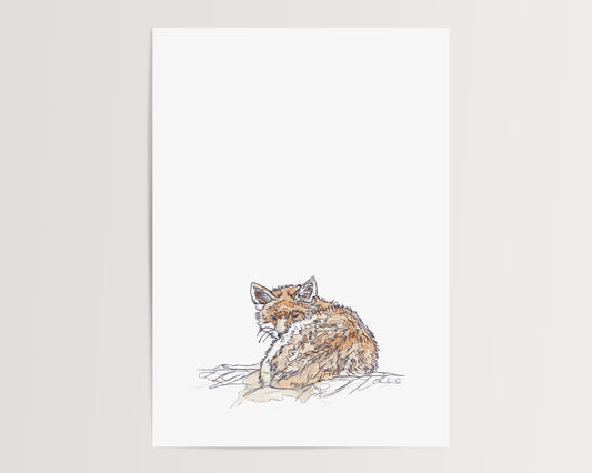 sleepy fox on white backfground giclee fine art print contemporary illustration animal wildlife artist ann pease 