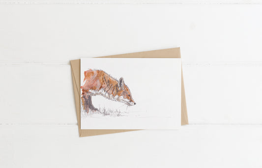 blank lanscape greeting card with envelope of stalking red fox with blank background contemporary illustration animal artist ann pease card art 